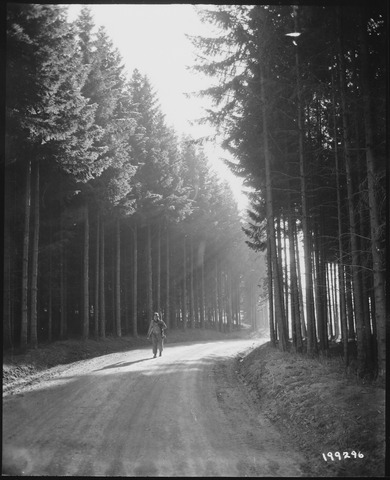 Private First Class. Margerum, Philadelphia, Pennsylvania, walks the road through a peaceful forest in the Bastogne area
