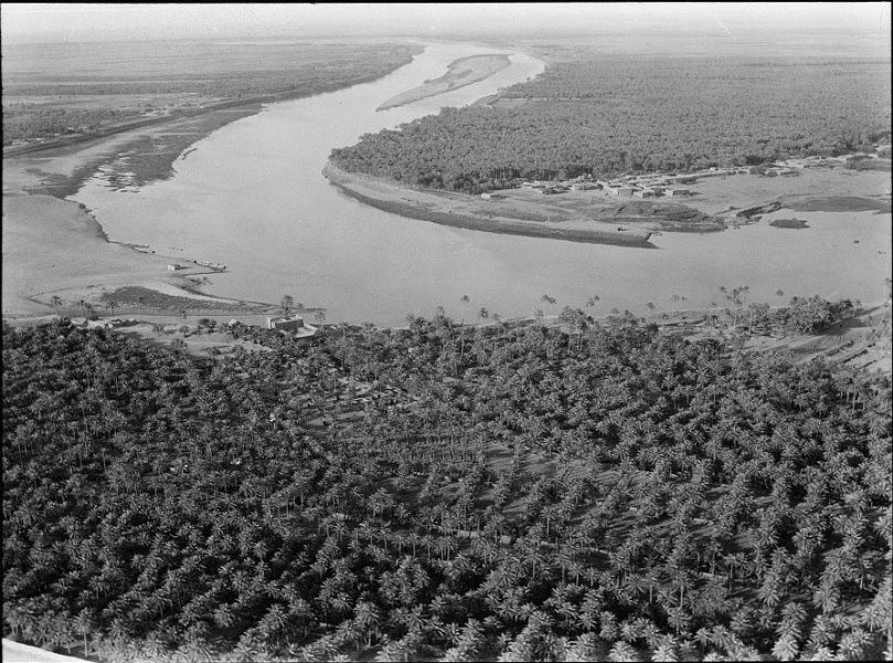 Air route to Baghdad via Amman and the desert. Tigris River. Groves of countless palm trees fringing the river's banks
