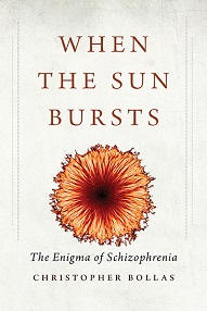 When the Sun Bursts book cover