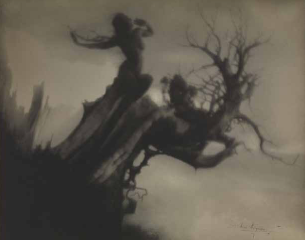 Fig. 6, The Storm Tree, 1911